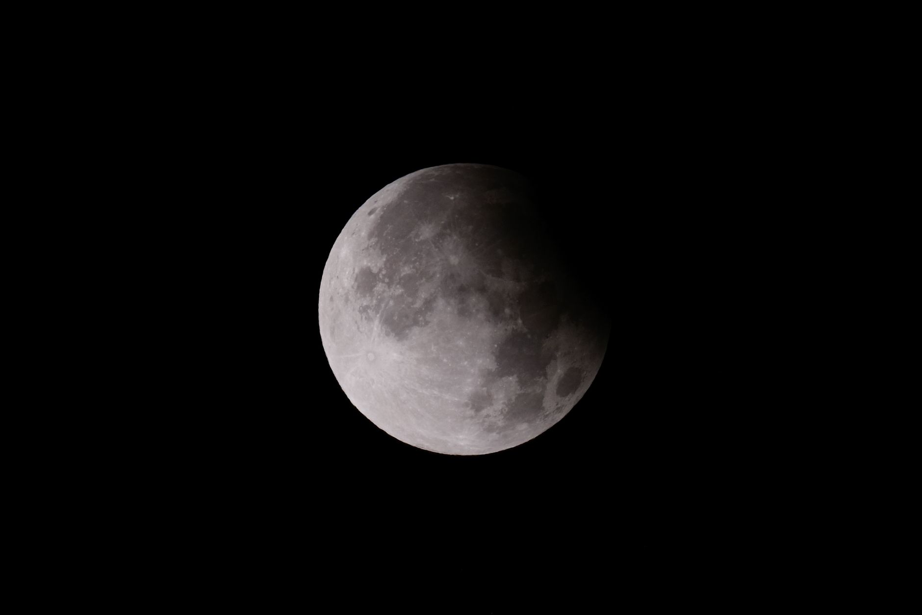 Earth Microbes in Moon Shadow: Proven Survival Insights