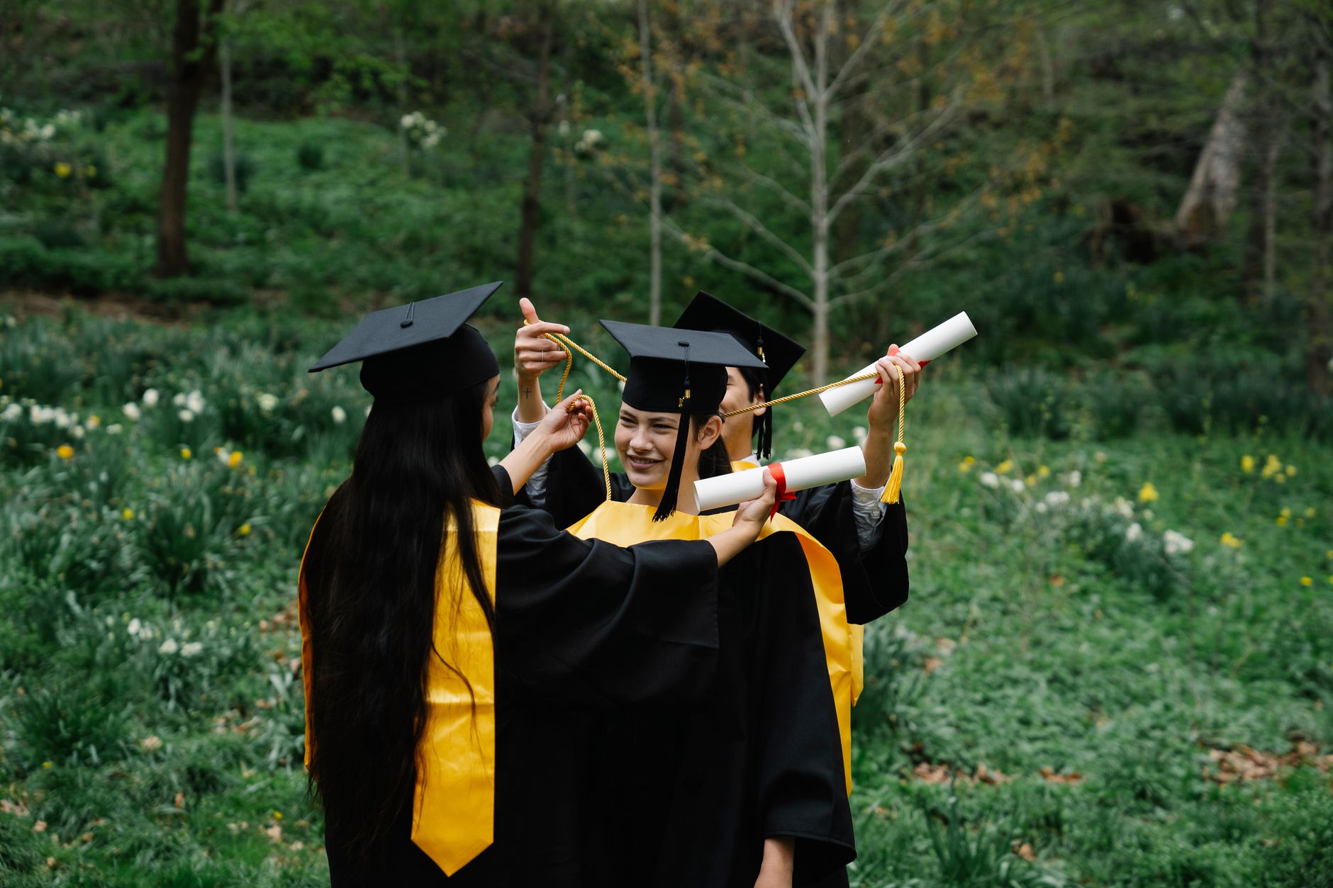Job Market for Non-Degree Holders: Is It the Best Opportunity?